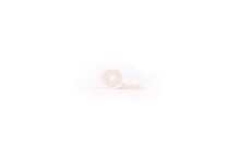 COLLAR SEAL (1017) Зап.части к распылителю-Прокладка